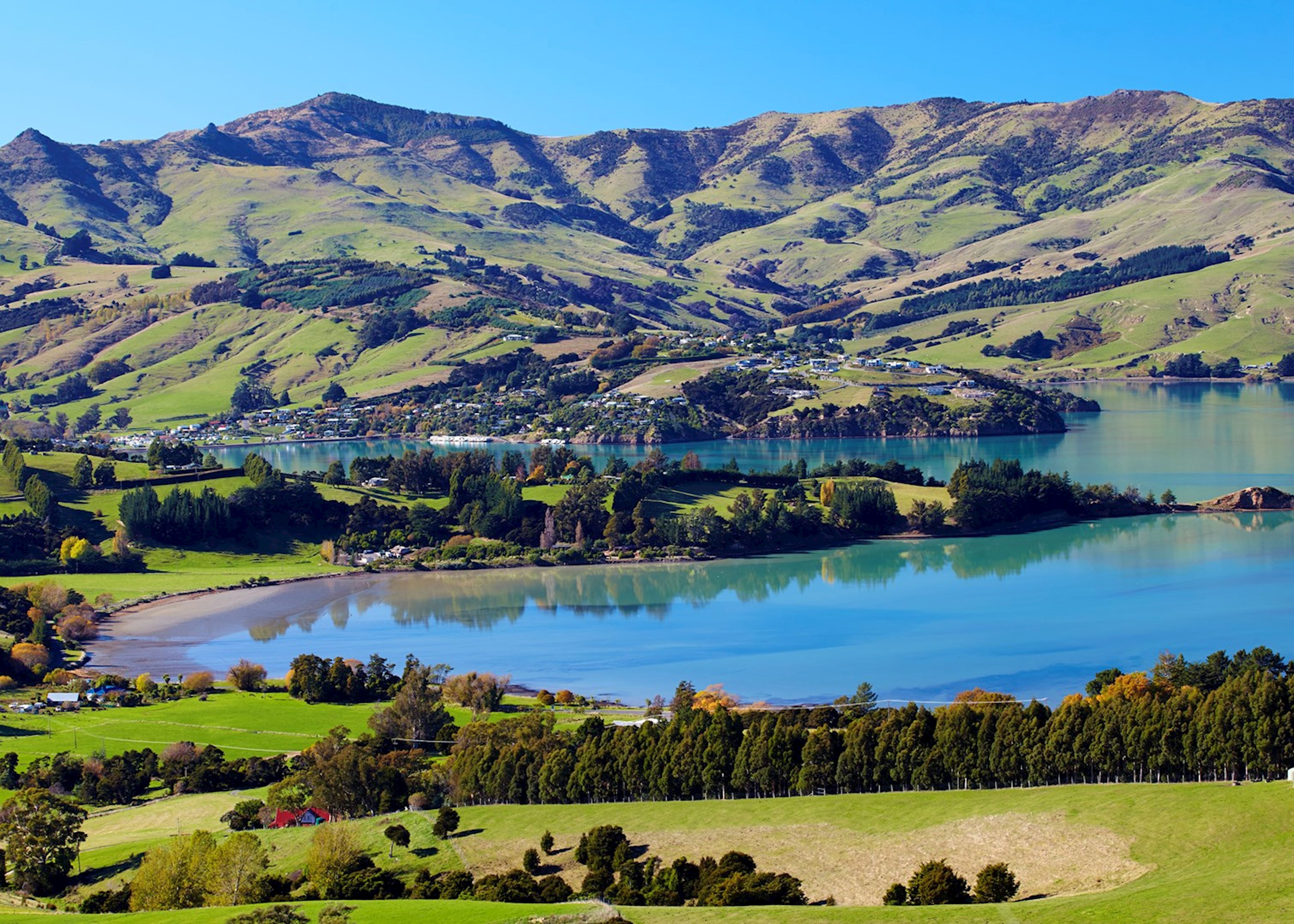 Akaroa 港湾全景